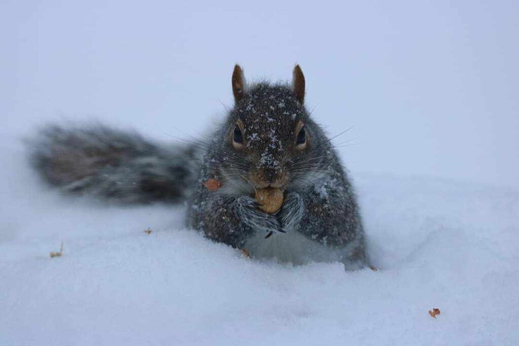 Ausbon Sargent Requests Public Participation in Strategic Planning