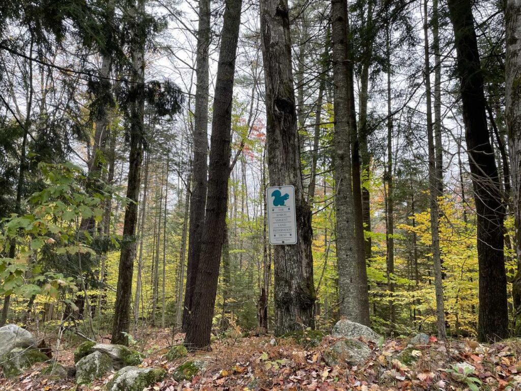 Guided Hike in Sunapee