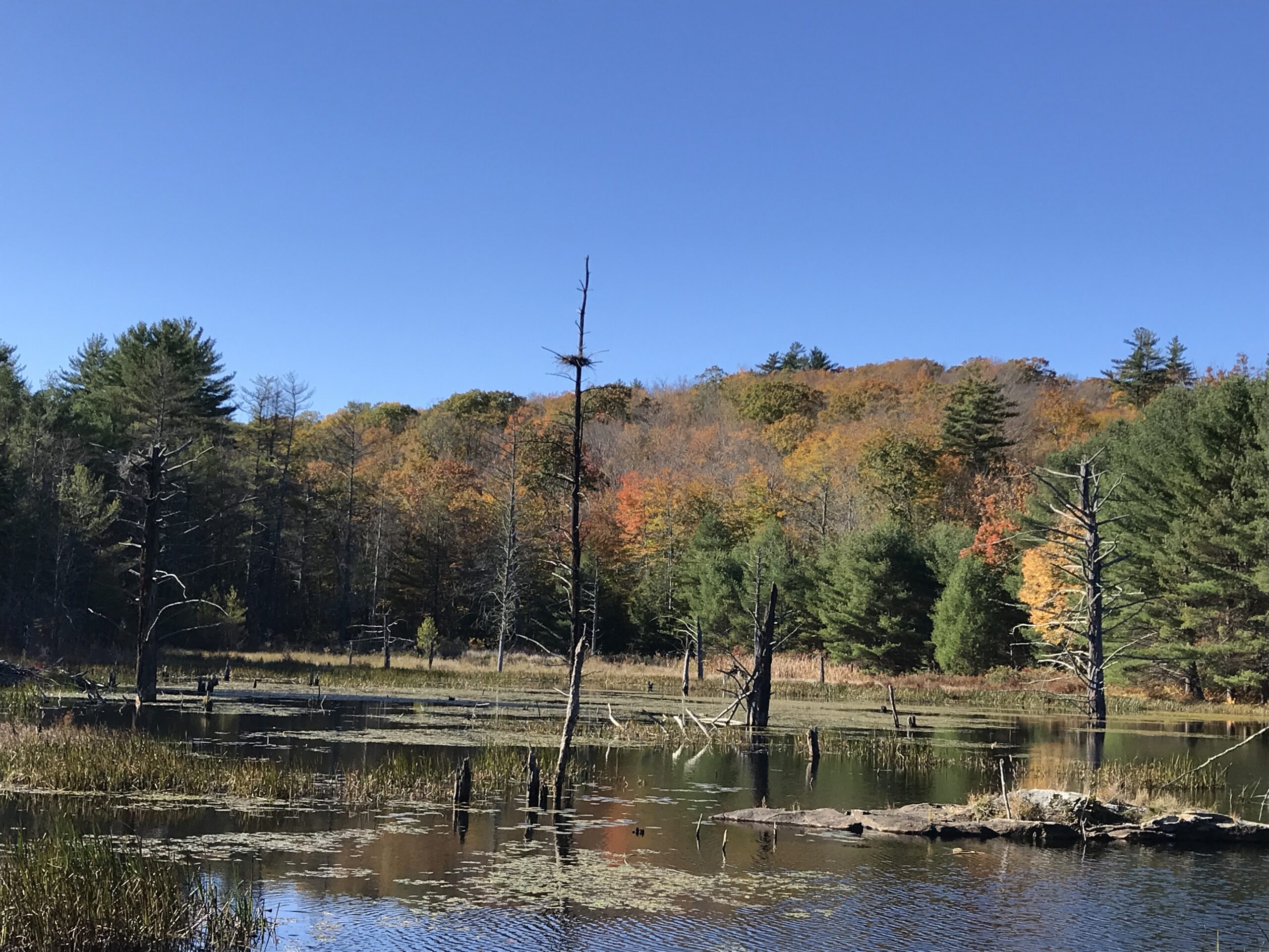 Ausbon Sargent partners with Kawasiwajo Community Land Trust, Warner