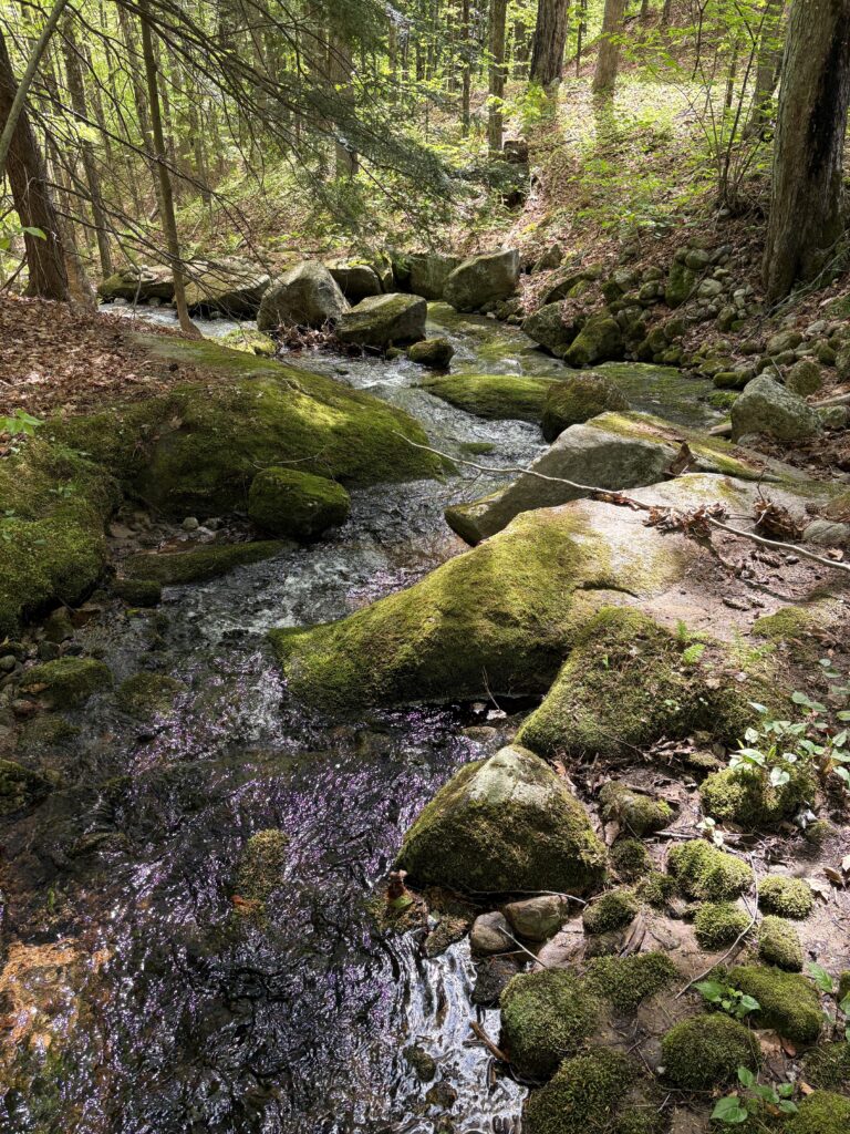 Fundraising is Underway for the Ohler Property: 100 Acres in the Pleasant Lake Watershed, New London