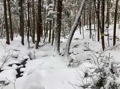 7.3 Acres Preserved in Wilmot