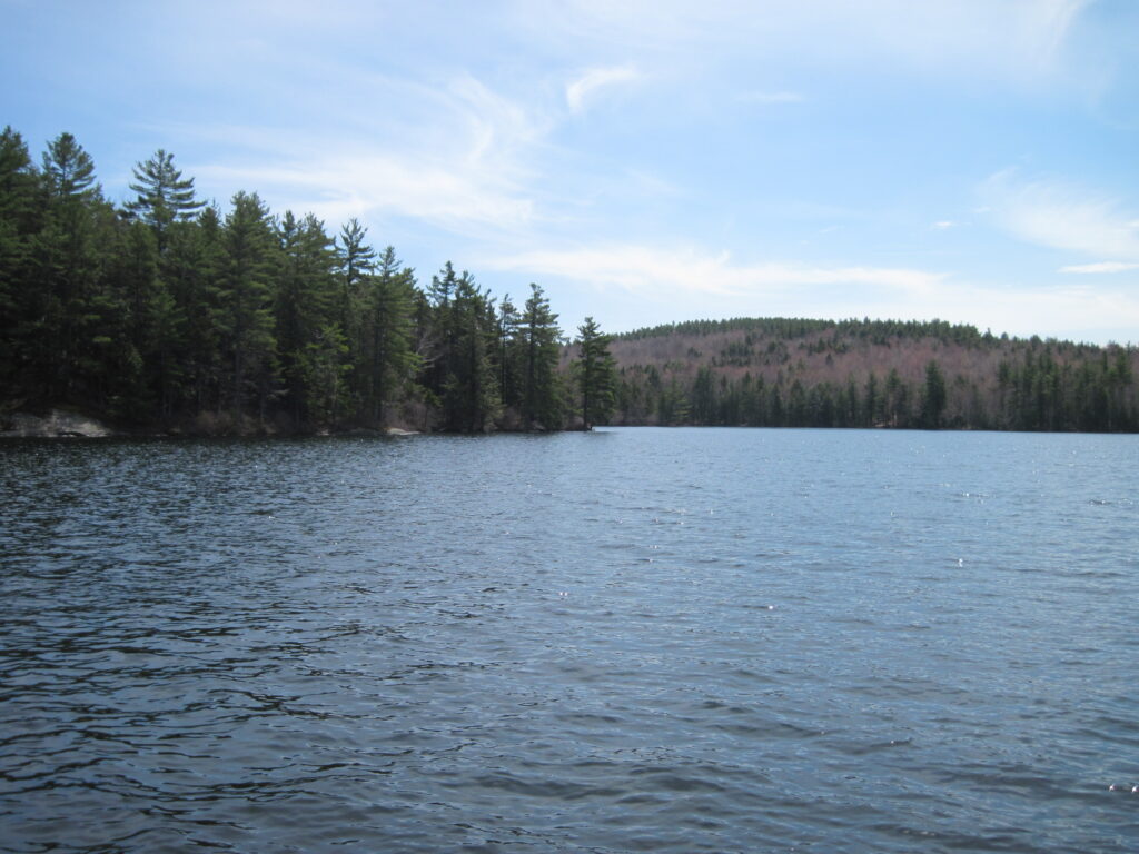 Group Hike at Ledge Pond, Sunapee