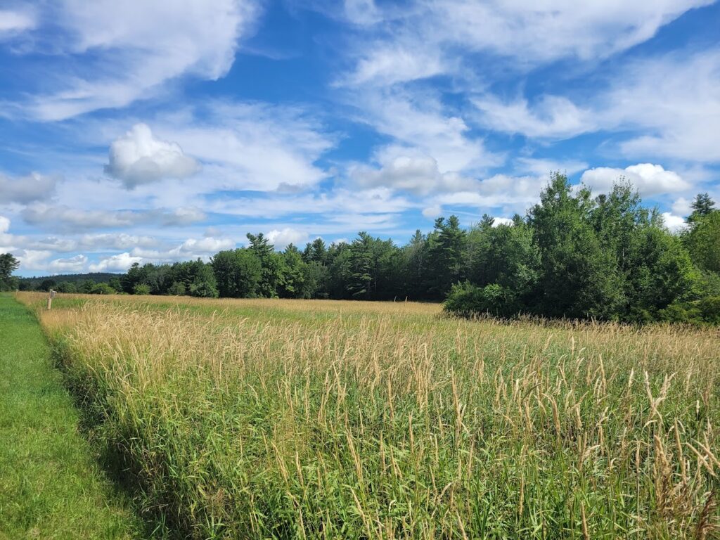 A Wildlife Habitat Management Walk at Messer Farm